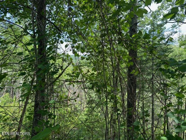 LOT18 Turkey Creek Way, Sevierville, TN 37862 - photo 5