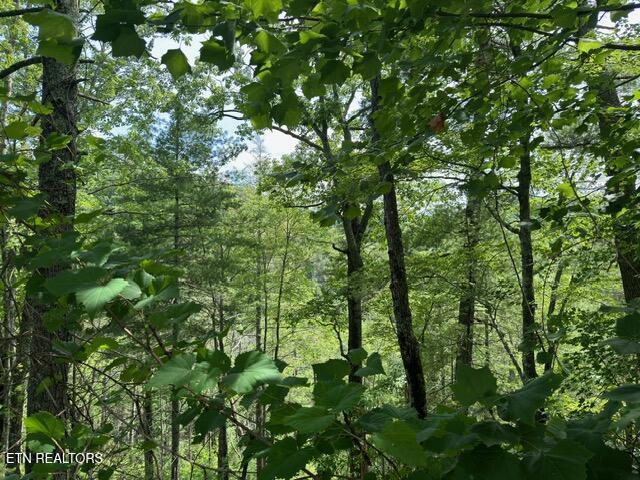 LOT18 Turkey Creek Way, Sevierville, TN 37862 - photo 6