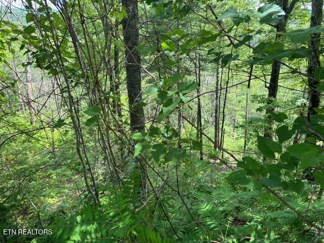 LOT18 Turkey Creek Way, Sevierville, TN 37862 - photo 7