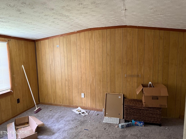 6032 Atkins Rd, Knoxville, TN 37918 - unfurnished room with a textured ceiling, carpet, and wood walls