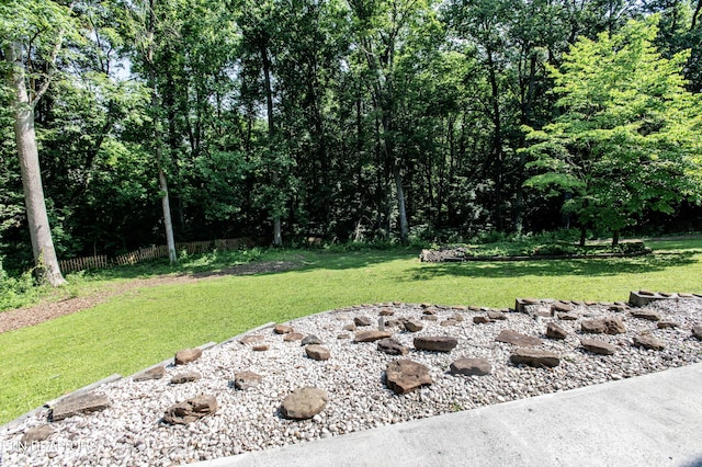 146 Lake Hills Dr, Oak Ridge, TN 37830 - view of yard