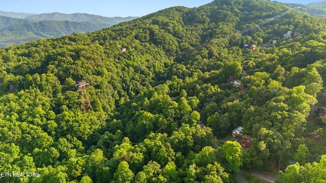 1516 Zurich Rd, Gatlinburg, TN 37738 - view of mountain background featuring a forest