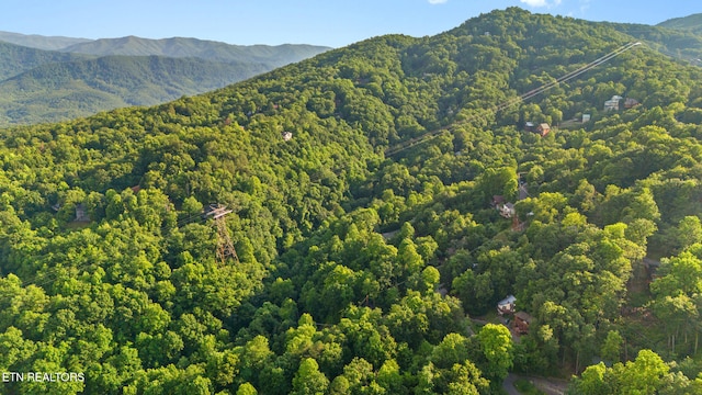 1516 Zurich Rd, Gatlinburg, TN 37738 - view of mountain backdrop featuring a forest