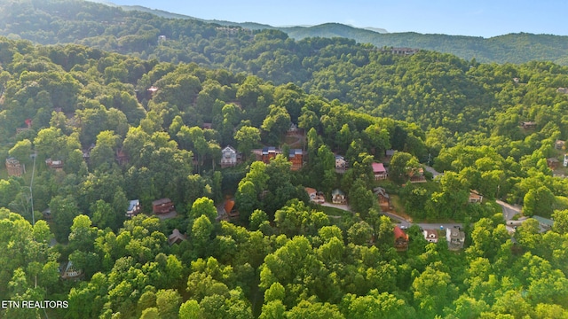 1516 Zurich Rd, Gatlinburg, TN 37738 - drone / aerial view of a heavily wooded area and a mountainous background