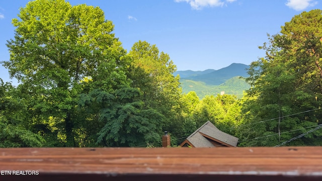 1516 Zurich Rd, Gatlinburg, TN 37738 - mountain view