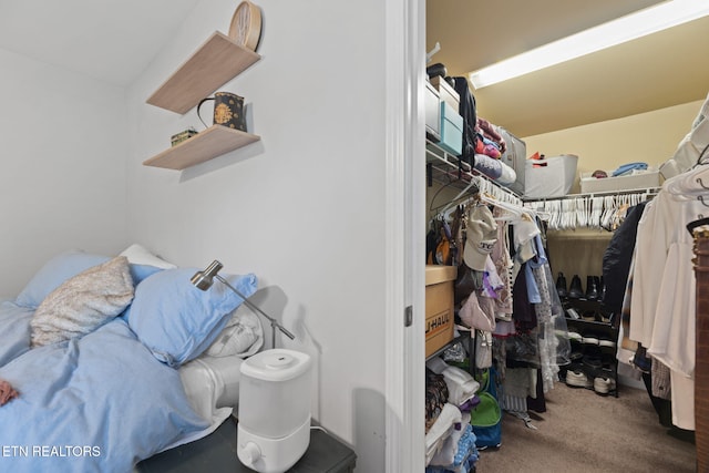 1132 Connecticut Ave, Knoxville, TN 37921 - spacious closet with carpet floors