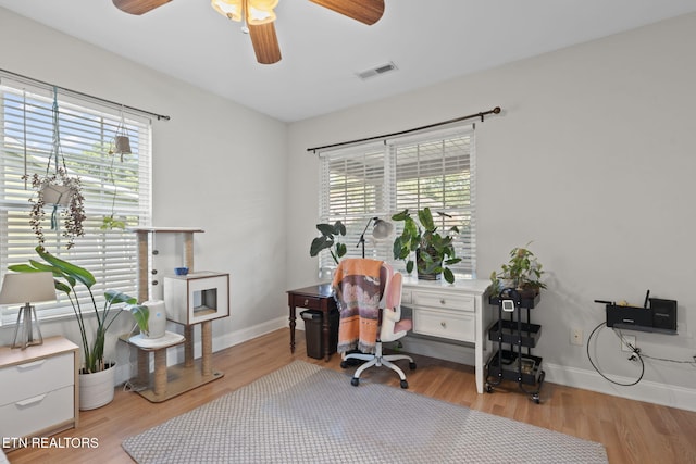 1132 Connecticut Ave, Knoxville, TN 37921 - office area featuring light wood-style floors and ceiling fan