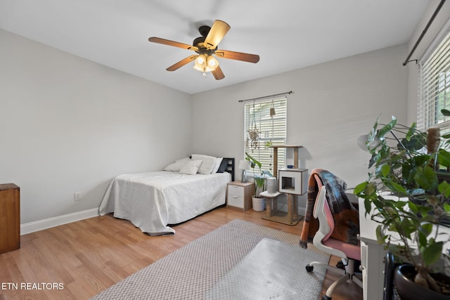 1132 Connecticut Ave, Knoxville, TN 37921 - bedroom featuring light wood-type flooring and ceiling fan