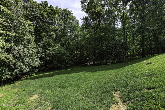 4335 Deer Run Dr, Louisville, TN 37777 - photo 10
