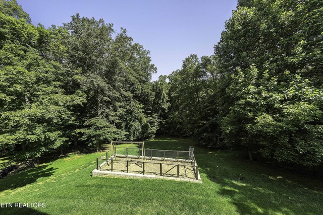 4335 Deer Run Dr, Louisville, TN 37777 - photo 40