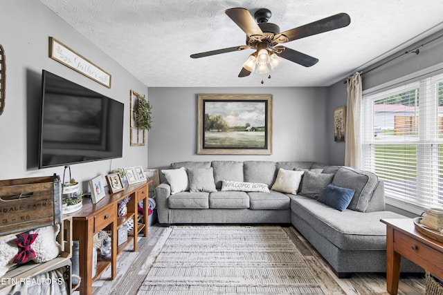 155 Kay Springs Cir, Jacksboro, TN 37757 - living room with wood finished floors, a ceiling fan, and a textured ceiling