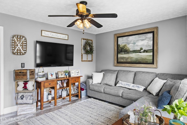 155 Kay Springs Cir, Jacksboro, TN 37757 - living room featuring ceiling fan, wood finished floors, and a textured ceiling