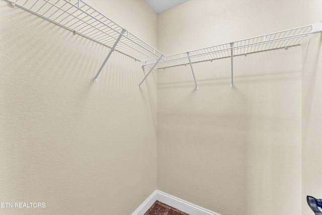 235 Jessie Ln, Lenoir City, TN 37772 - view of spacious closet