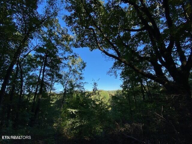 Partridge Trl, Grandview, TN 37337