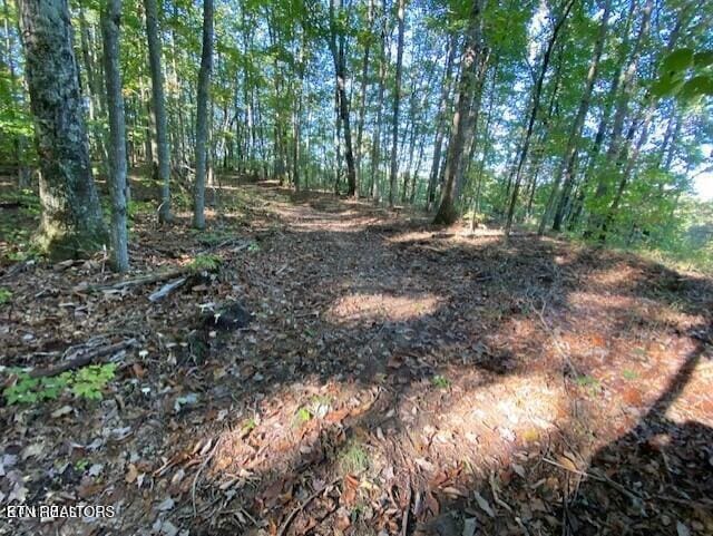 Partridge Trl, Grandview, TN 37337