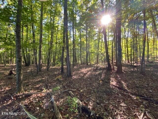 Partridge Trl, Grandview, TN 37337
