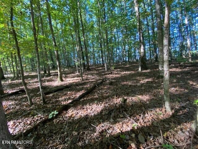 Partridge Trl, Grandview, TN 37337