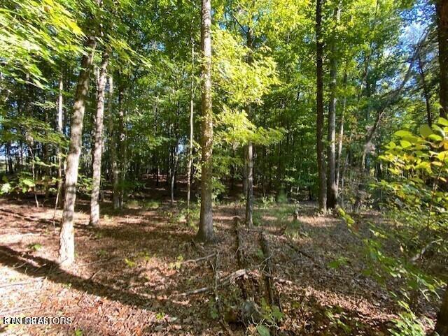 Partridge Trl, Grandview, TN 37337