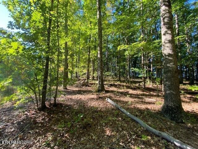 Partridge Trl, Grandview, TN 37337