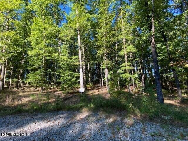 Partridge Trl, Grandview, TN 37337