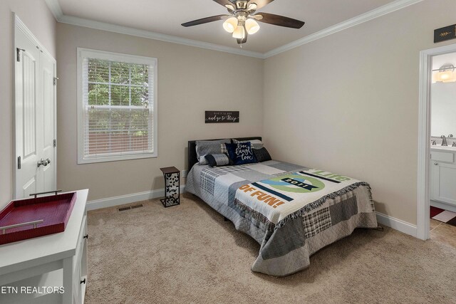 1756 Apple Grove Ln, Knoxville, TN 37922 - photo 29