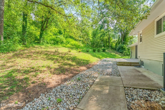 4412 Bruhin Rd, Knoxville, TN 37912 - photo 47