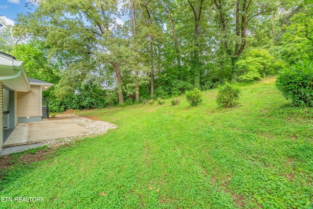 4412 Bruhin Rd, Knoxville, TN 37912 - photo 48