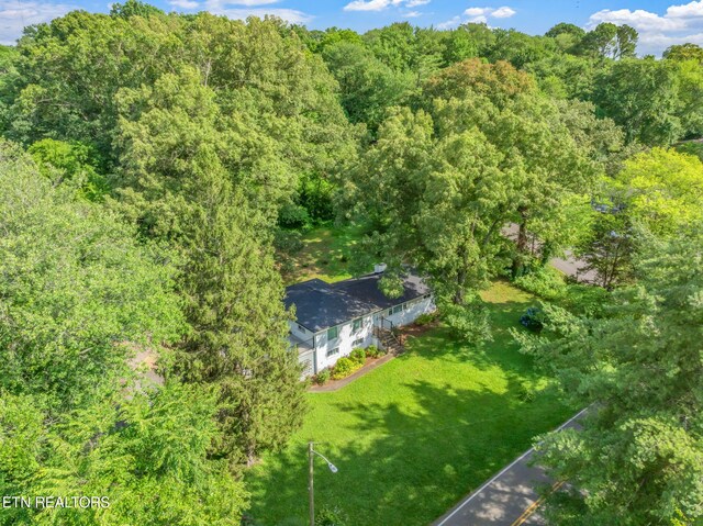 4412 Bruhin Rd, Knoxville, TN 37912 - photo 51