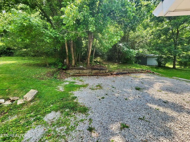 918 5th St, Jellico, TN 37762 - view of green lawn