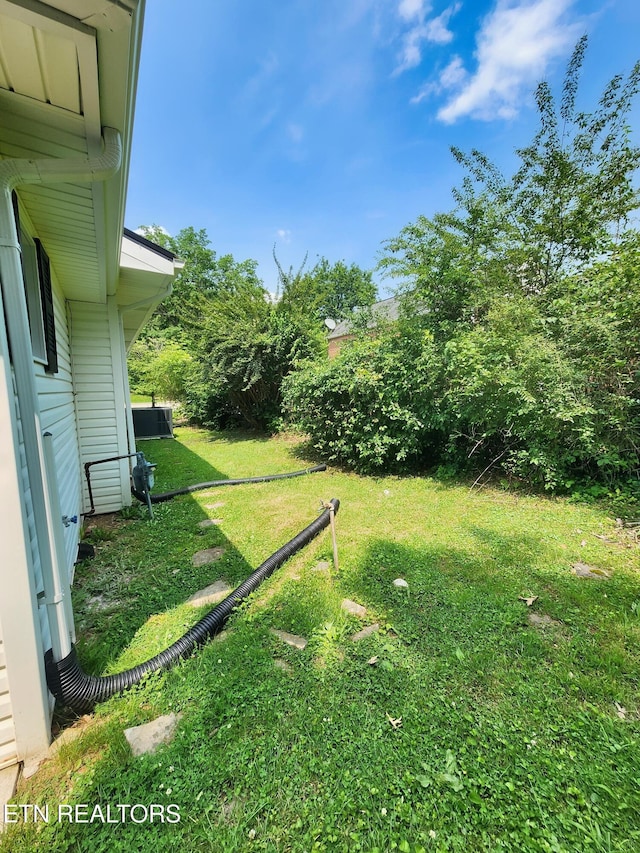 918 5th St, Jellico, TN 37762 - view of grassy yard