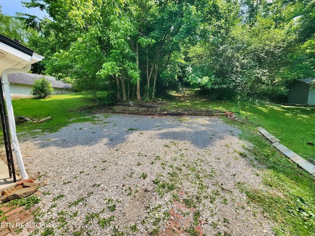 918 5th St, Jellico, TN 37762 - view of green lawn with a storage unit