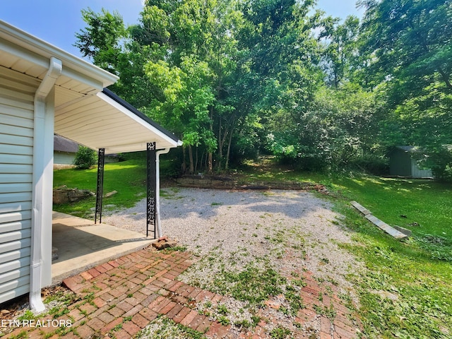 918 5th St, Jellico, TN 37762 - view of grassy yard featuring a patio and a storage shed