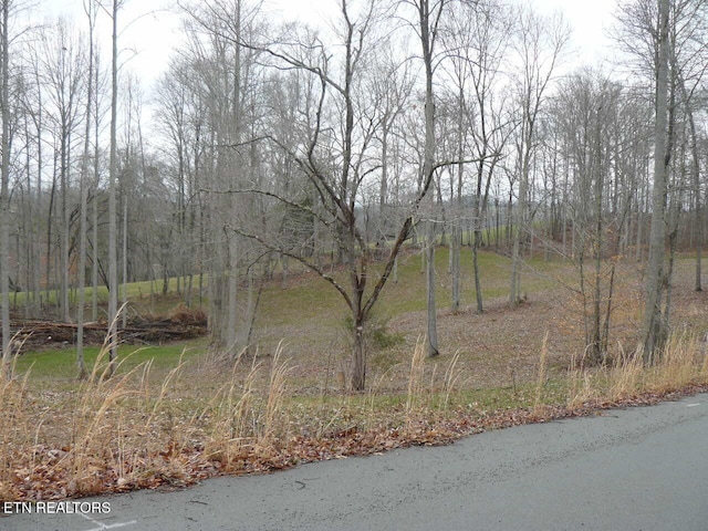 Parsons Ln, Tazewell, TN 37879