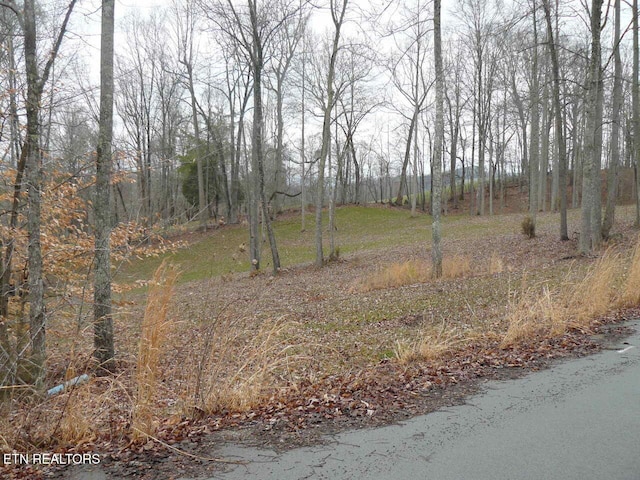 Parsons Ln, Tazewell, TN 37879