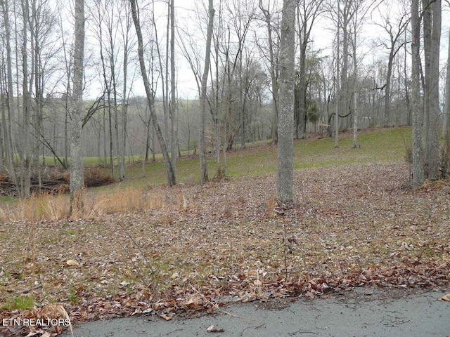 Parsons Ln, Tazewell, TN 37879