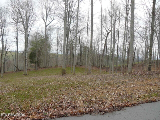 Parsons Ln, Tazewell, TN 37879