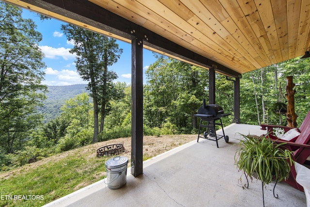 187 Persimmon Ln, Pioneer, TN 37847 - view of patio with a grill and a mountain view