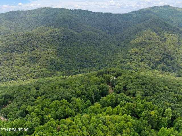187 Persimmon Ln, Pioneer, TN 37847 - view of mountain background featuring a heavily wooded area