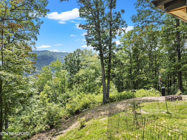 187 Persimmon Ln, Pioneer, TN 37847 - view of yard with a mountain view and a view of trees