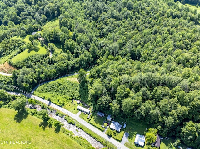 TBD Blue Mill Rd, Del Rio, TN 37727
