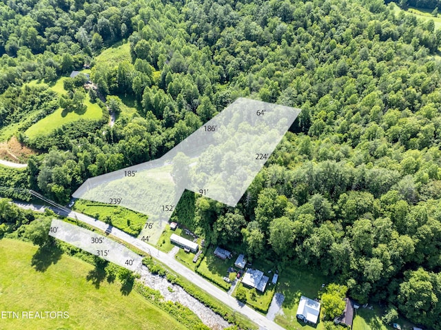 TBD Blue Mill Rd, Del Rio, TN 37727