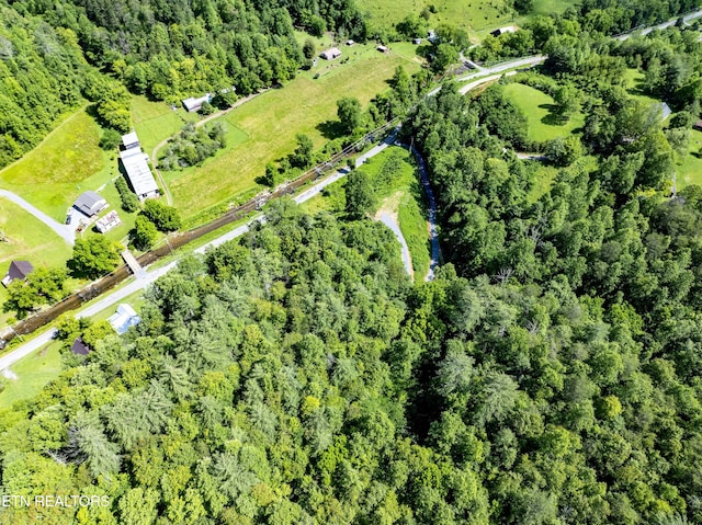 TBD Blue Mill Rd, Del Rio, TN 37727