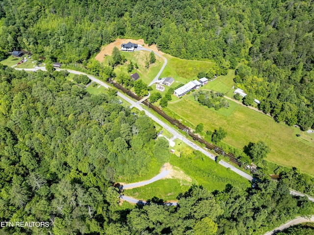 TBD Blue Mill Rd, Del Rio, TN 37727