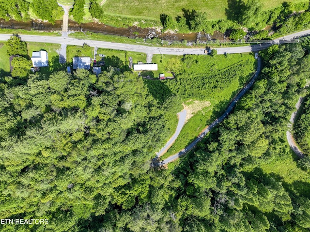 TBD Blue Mill Rd, Del Rio, TN 37727