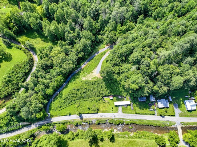 TBD Blue Mill Rd, Del Rio, TN 37727