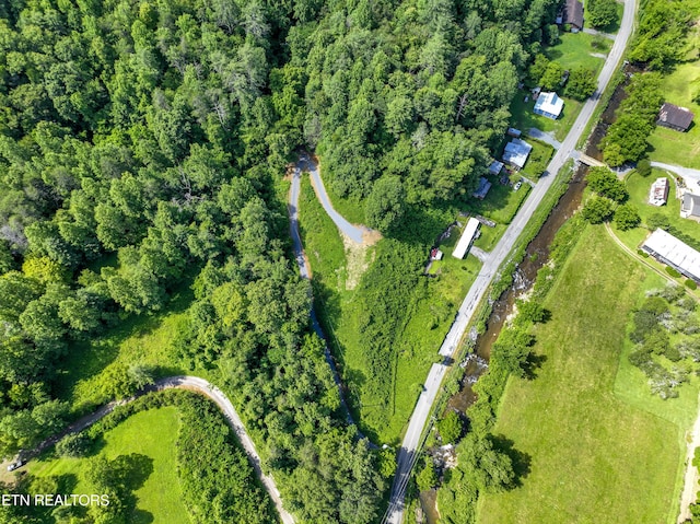 TBD Blue Mill Rd, Del Rio, TN 37727