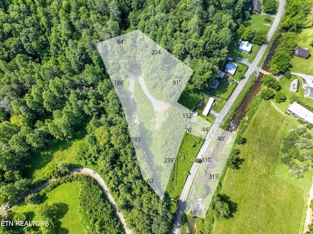 TBD Blue Mill Rd, Del Rio, TN 37727