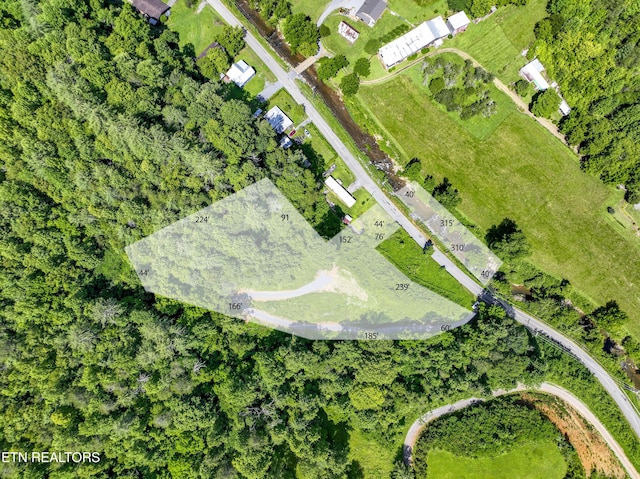 TBD Blue Mill Rd, Del Rio, TN 37727