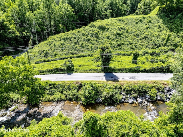 TBD Blue Mill Rd, Del Rio, TN 37727