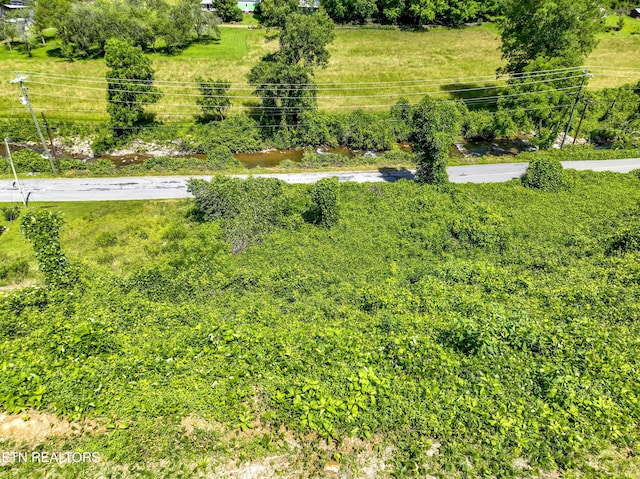 TBD Blue Mill Rd, Del Rio, TN 37727
